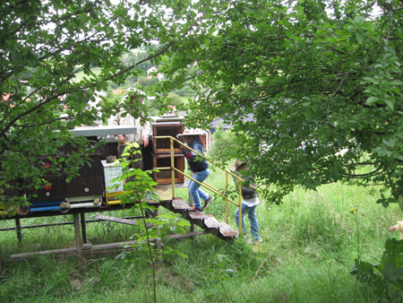 2012vcely2A (45)